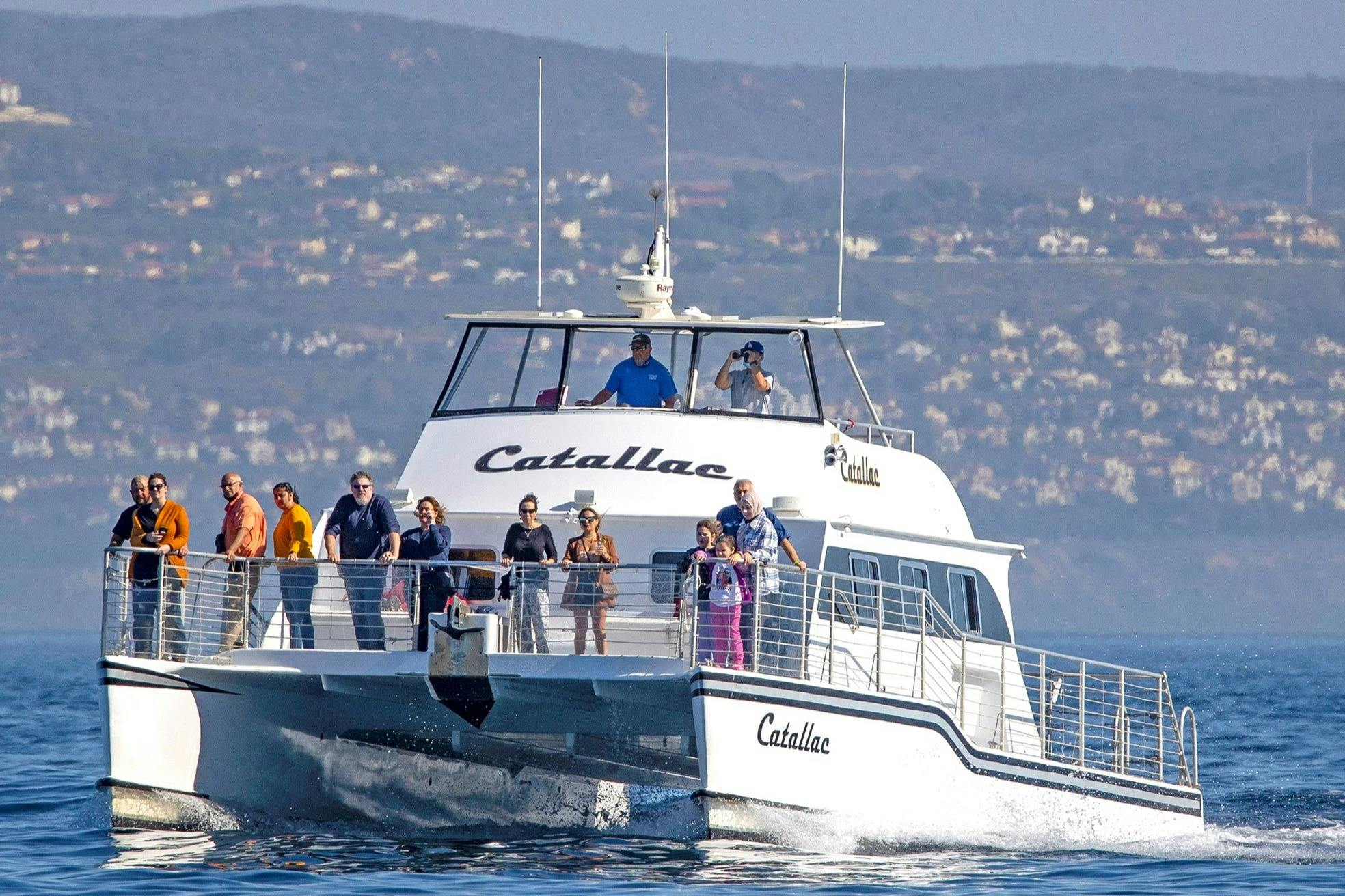 Los Angeles: Luxury Whale Watching Tour - Photo 1 of 9